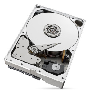 Disco Duro Seagate Skyhawk Al Videovigilancia 10tb Sata Ill Color Negro