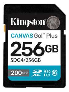 Tarjeta De Memoria Kingston Sdg4/256gb Canvas Go Plus 256gb